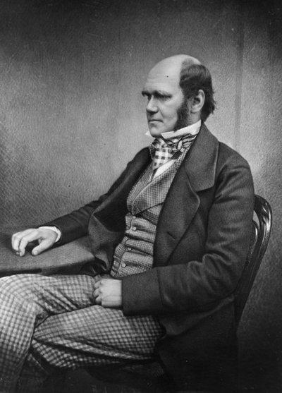 Charles Darwin by Maull and Fox